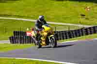 Lower Group Yellow Bikes